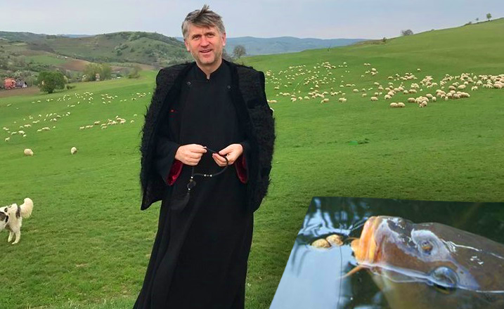 Pestele lui Pomohaci